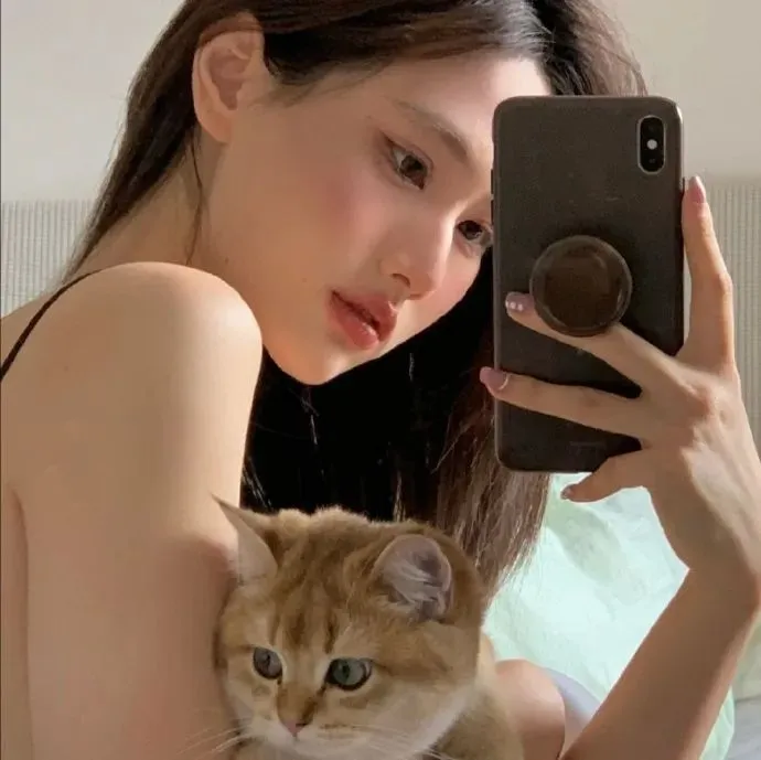 碟中谍6：全面瓦解